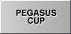 ペガサスカップ